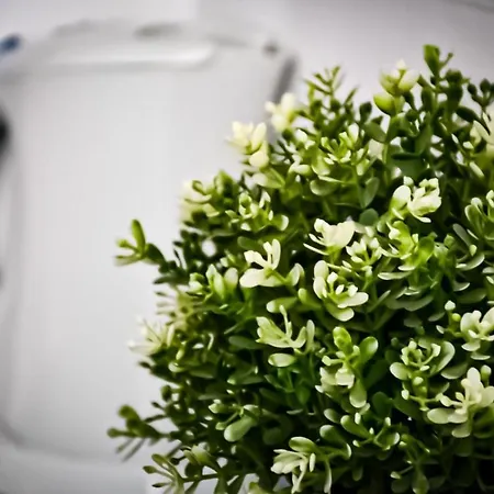 Comfortable * Poznan